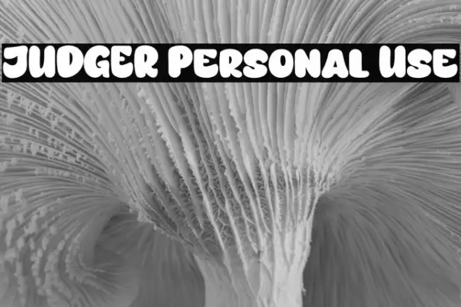 JUDGER Personal Use Font examples