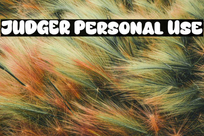 JUDGER Personal Use Example 3