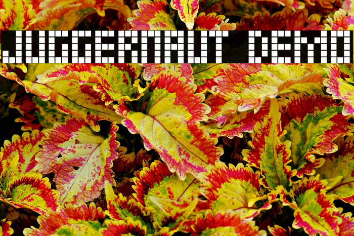 JUGGERNAUT demo Example 1