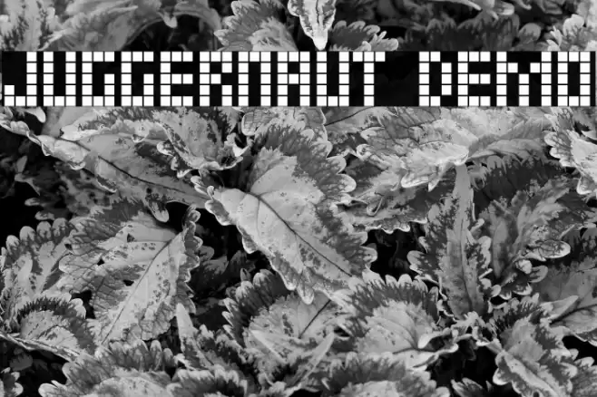 JUGGERNAUT demo Font examples