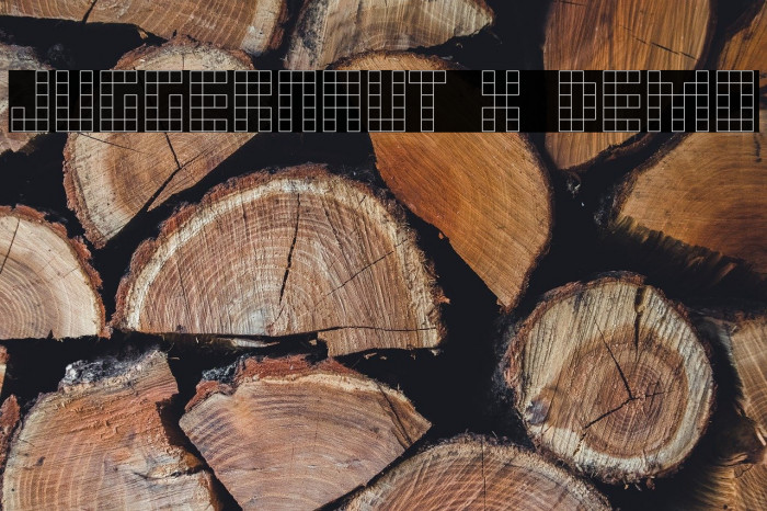 JUGGERNAUT x demo Example 1