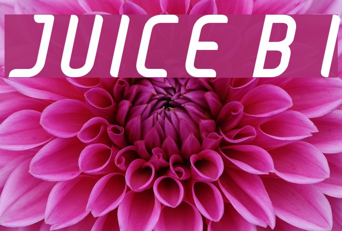 JUICE Bold Italic Font examples