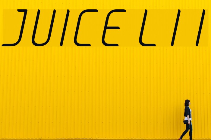 JUICE Light Italic Italic Fonte examples