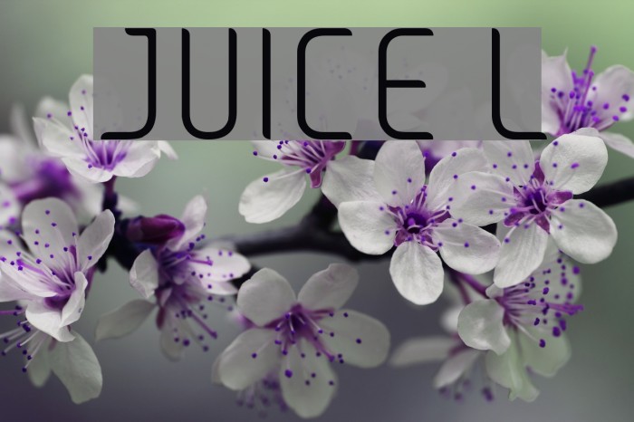JUICE Light Font examples