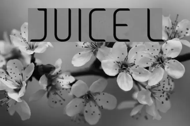 JUICE Light フォント examples