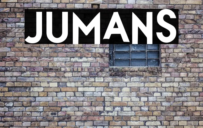 JUMANS Example 1