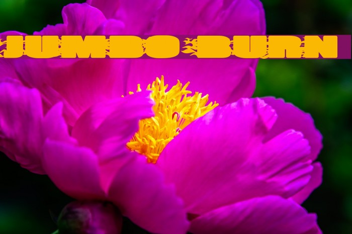 JUMBO BURN Font examples