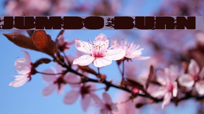 JUMBO BURN Font examples