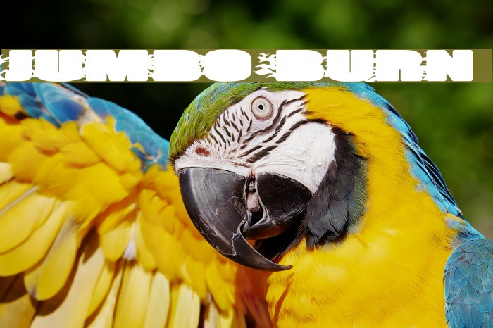 JUMBO BURN Font examples