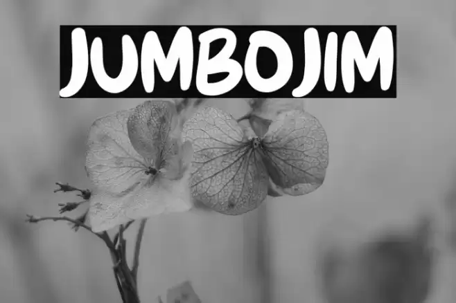 JUMBOJIM Font examples