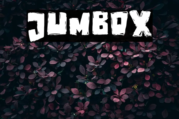 JUMBOX Example 2