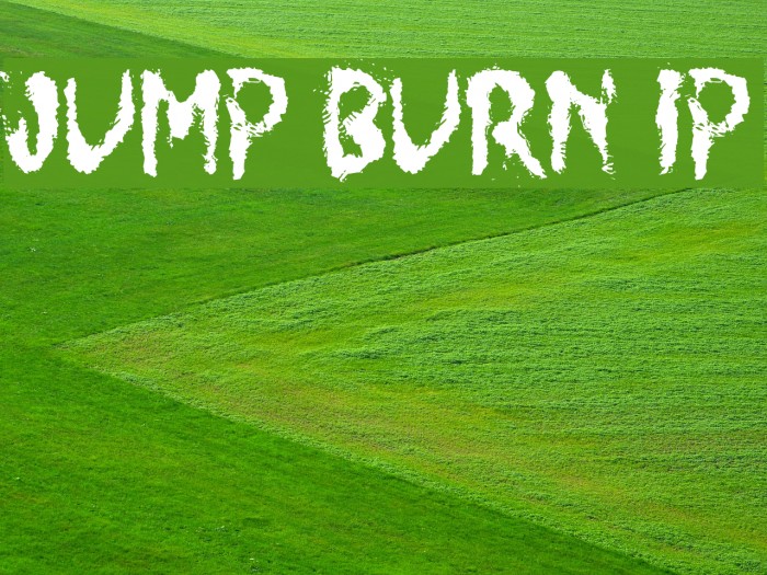 JUMP BURN IP Example 3
