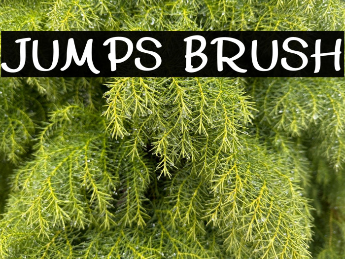JUMPS BRUSH Example 1