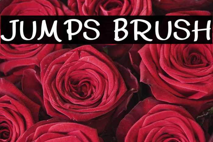 JUMPS BRUSH Example 2