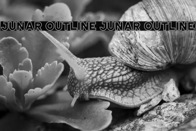 JUNAR OUTLINE JUNAR OUTLINE Font examples