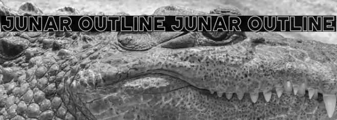 JUNAR OUTLINE JUNAR OUTLINE Font examples