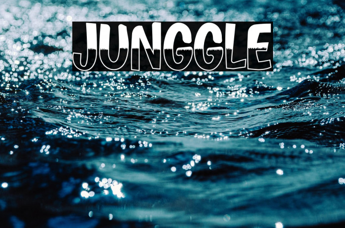 JUNGGLE Example 1