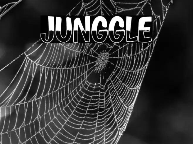 JUNGGLE Font examples