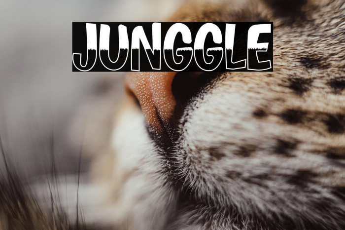 JUNGGLE Example 3