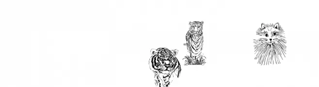 JUNGLE BUNCH  नि: शुल्क फ़ॉन्ट्स डाउनलोड