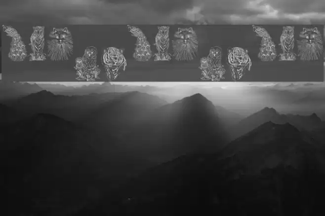 JUNGLE BUNCH フォント examples