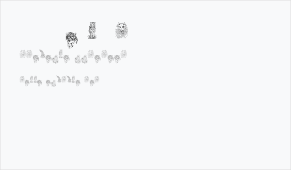 JUNGLE BUNCH Business Card