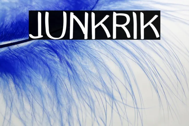 JUNKRIK Example 2