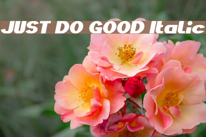 JUST DO GOOD Italic Font examples