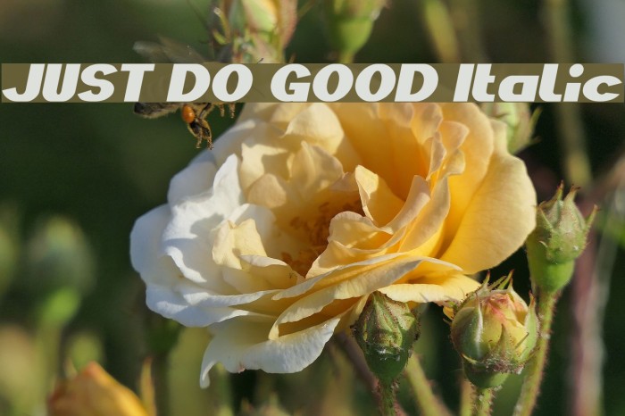 JUST DO GOOD Italic Font examples
