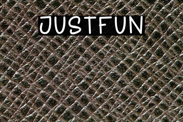 JUSTFUN Example 3