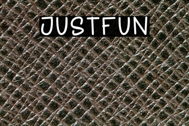JUSTFUN Example 3