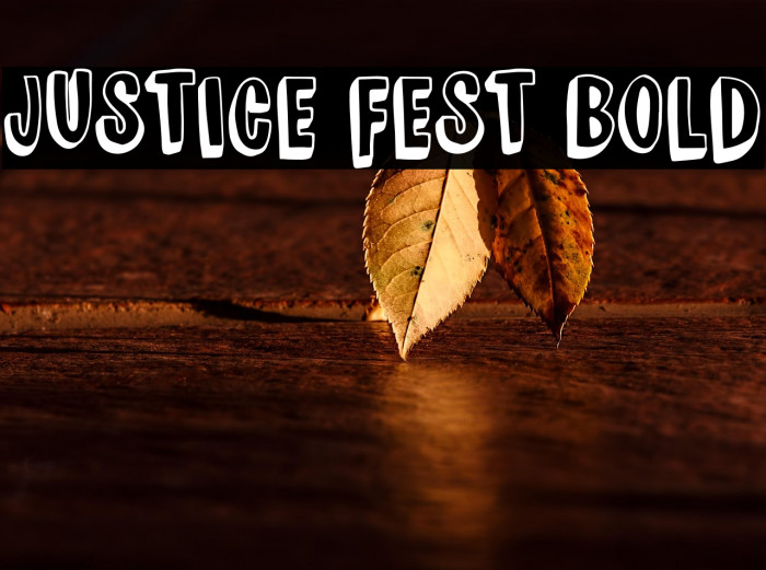 JUSTICE FEST Bold Example 2