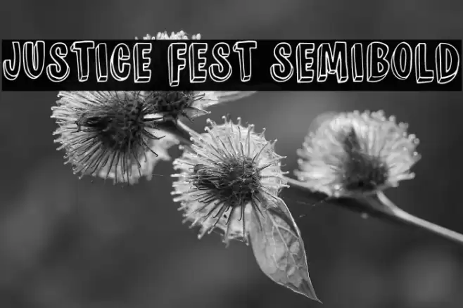 JUSTICE FEST Semibold Font examples