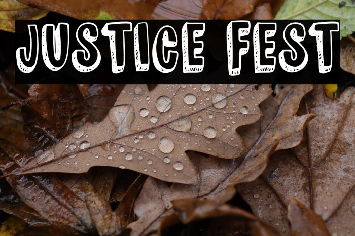 JUSTICE FEST Example 2