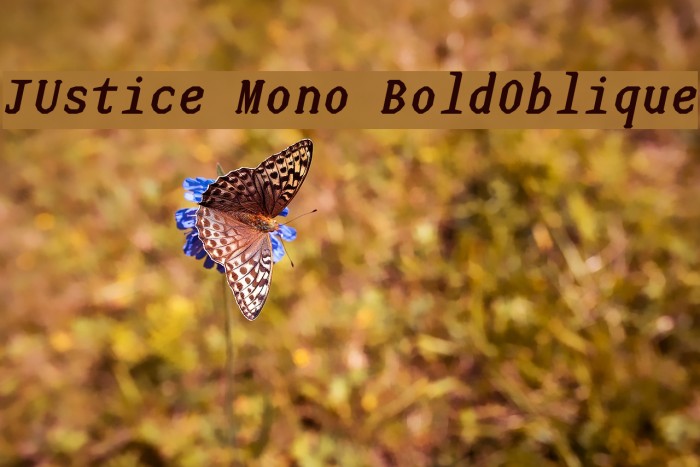JUstice Mono BoldOblique Font examples