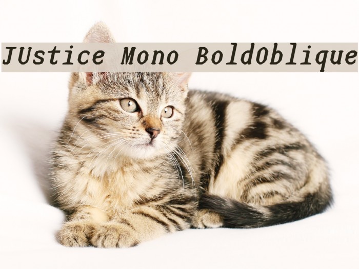 JUstice Mono BoldOblique Font examples