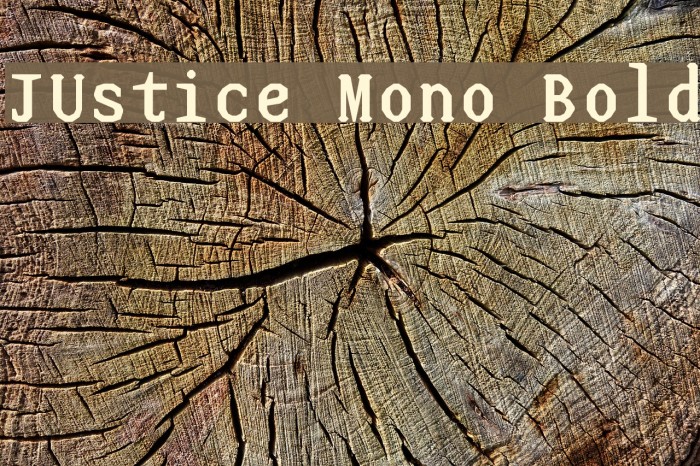 JUstice Mono Bold Font examples