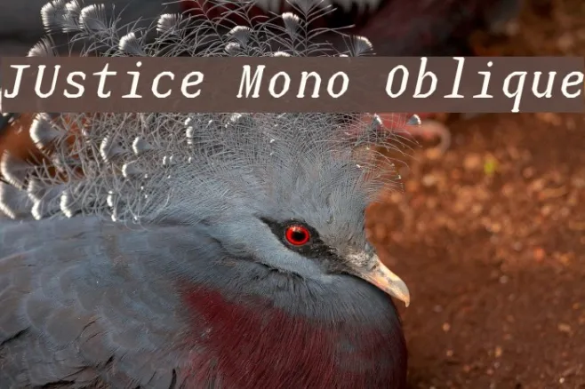 JUstice Mono Oblique Example 2