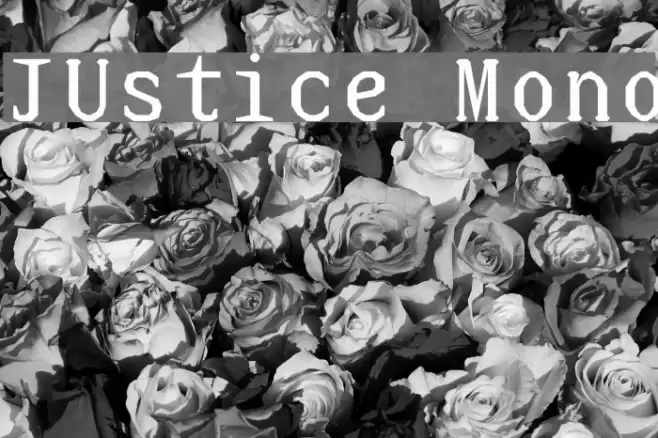 JUstice Mono Fuentes examples