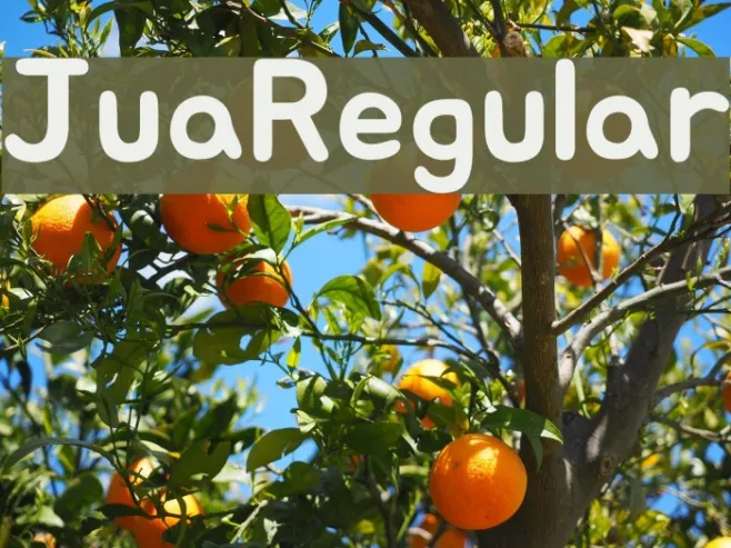 Jua Regular Example 3