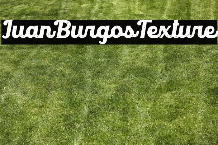 Juan Burgos Texture Example 1