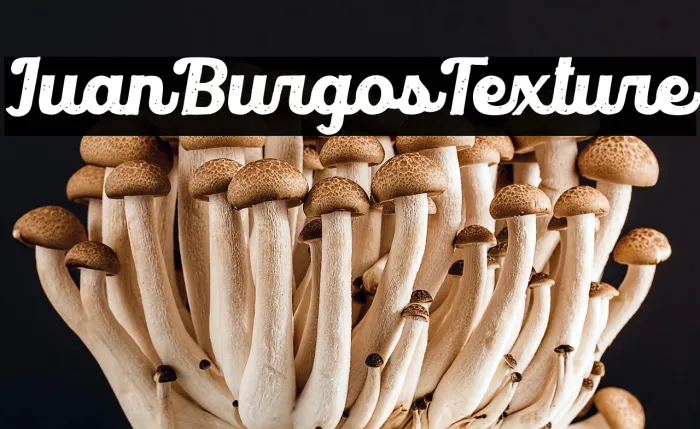 Juan Burgos Texture Example 3