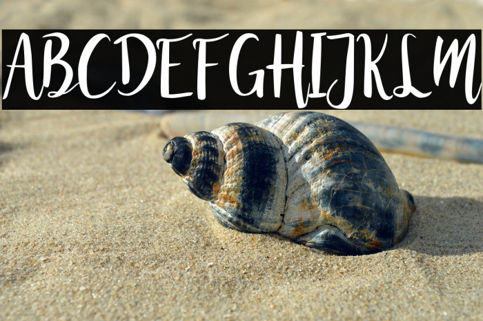 Juanita Brush Smooth Script Example 2