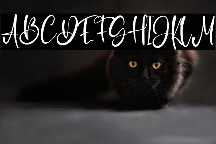 JudeDuncan Example 2