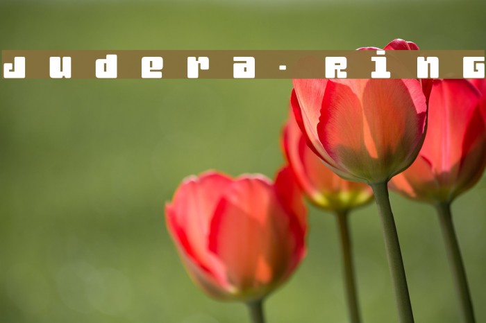 Judera-Ring Example 1