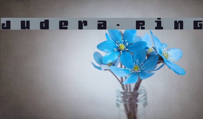 Judera-Ring Example 3