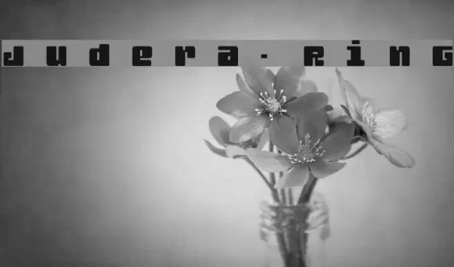 Judera-Ring Font examples