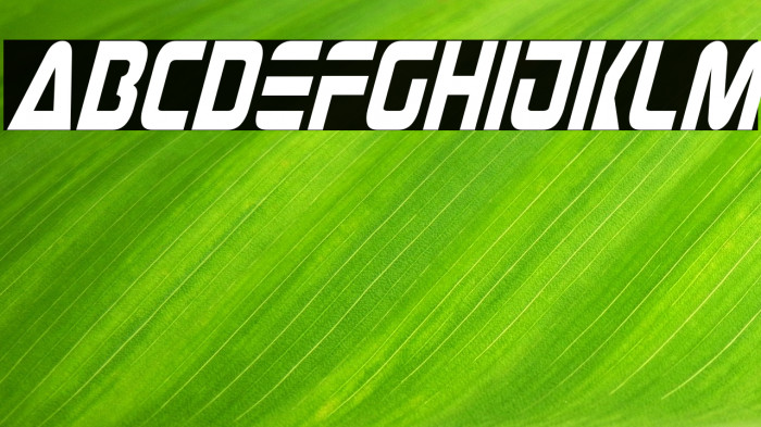 Judge Condensed Italic Example 2