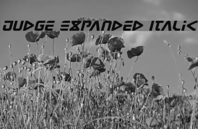 Judge Expanded Italic Font examples