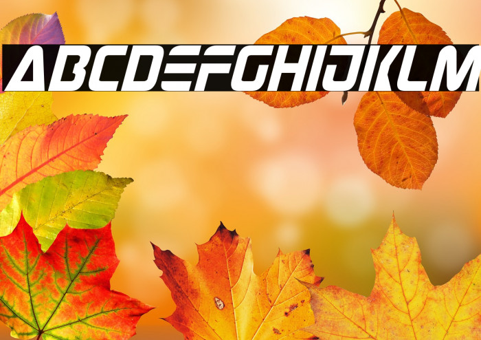 Judge Italic Example 3